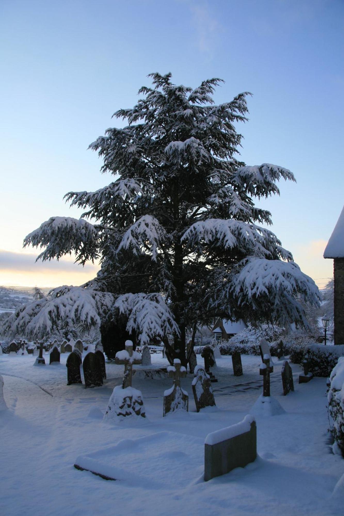 The Belfry At Yarcombe Bed & Breakfast Екстериор снимка